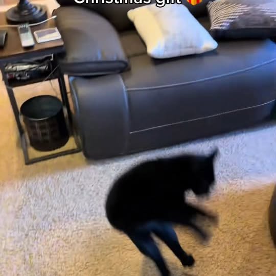  .......ats_club   'recent posts' 