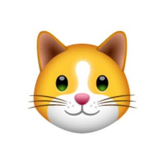 Hire ......lyfans influencer with 46.7k