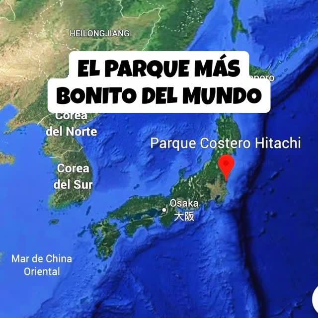  .......peligro   'recent posts' 