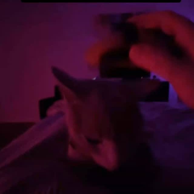  ......n_boris   'recent posts' 