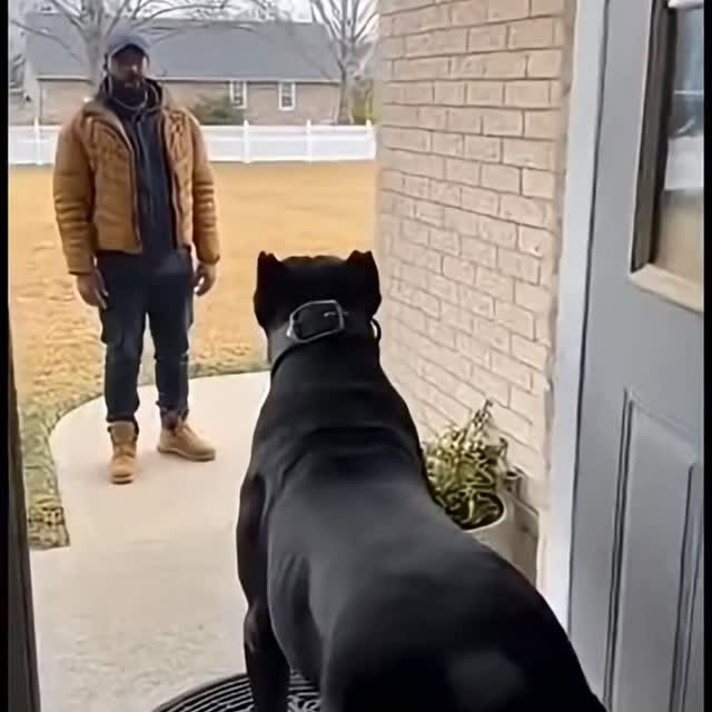  .........pet_world   'recent posts' 