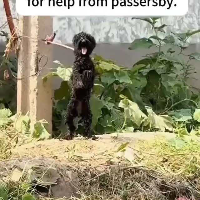  ....ash_   'recent posts' 