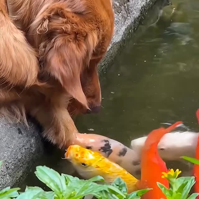  ........malsgram   'recent posts' 