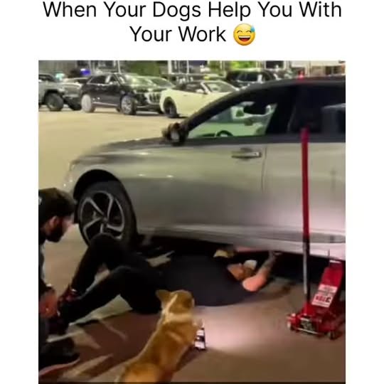  .....ibess   'recent posts' 