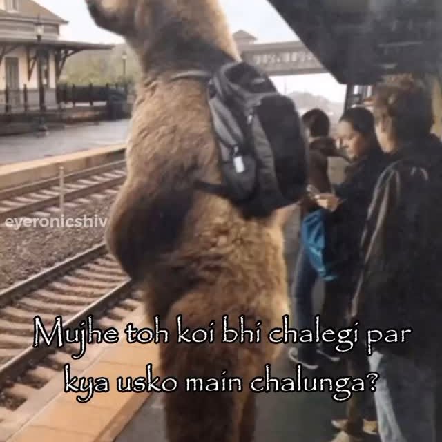  ......icshiv   'recent posts' 