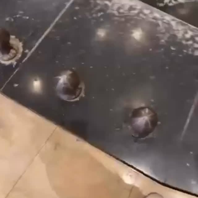  .....adswat   'recent posts' 