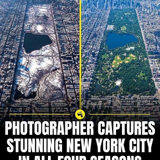  ......sfervor   'recent posts' 