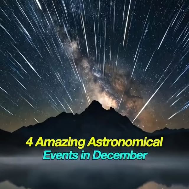  .......ciencex   'recent posts' 