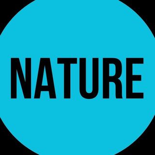 Hire ......naturee influencer with 506.4k