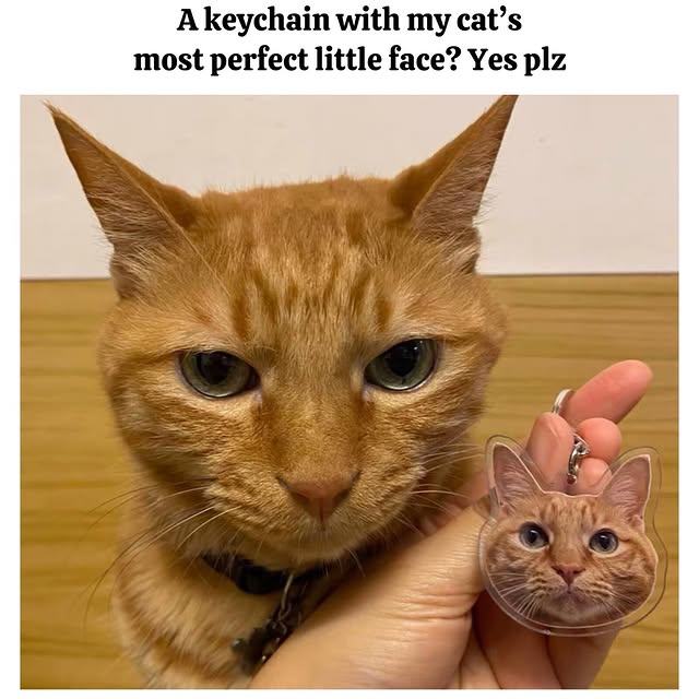  ......kekkek   'recent posts' 