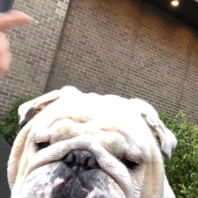  ......rwhite   'recent posts' 