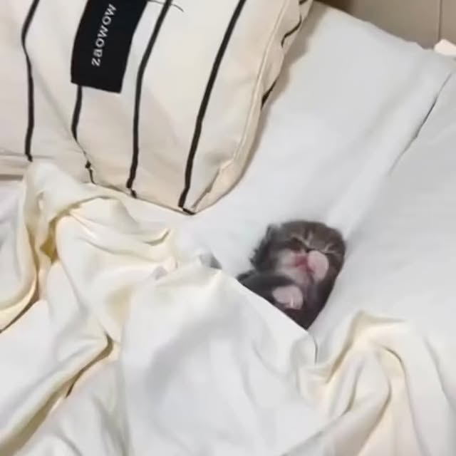  .......sinhome   'recent posts' 