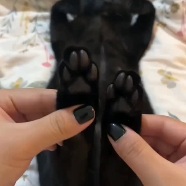  .......ats_club   'recent posts' 