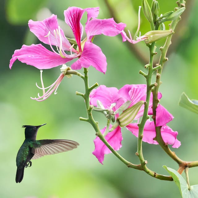  .....yland   'recent posts' 