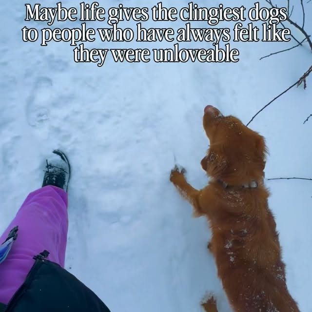  ......atoller   'recent posts' 