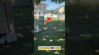  ....ccer  'recent videos' 