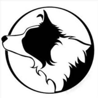 Hire .........lie.border influencer with 126.3k