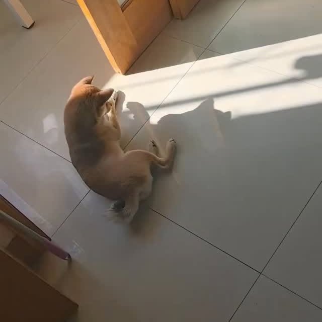  ......imalshq   'recent posts' 