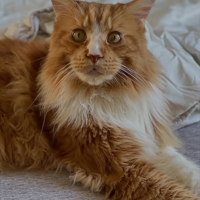  ......adamus   'recent posts' 