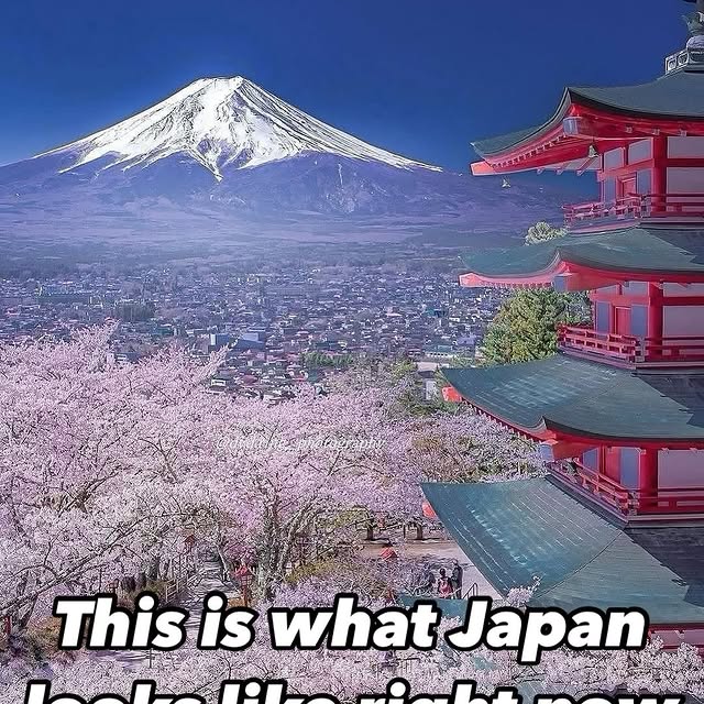  ......ravels   'recent posts' 