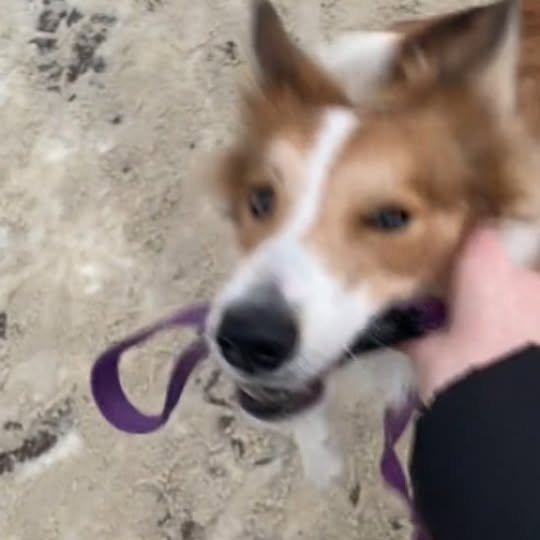  .........lie.border   'recent posts' 