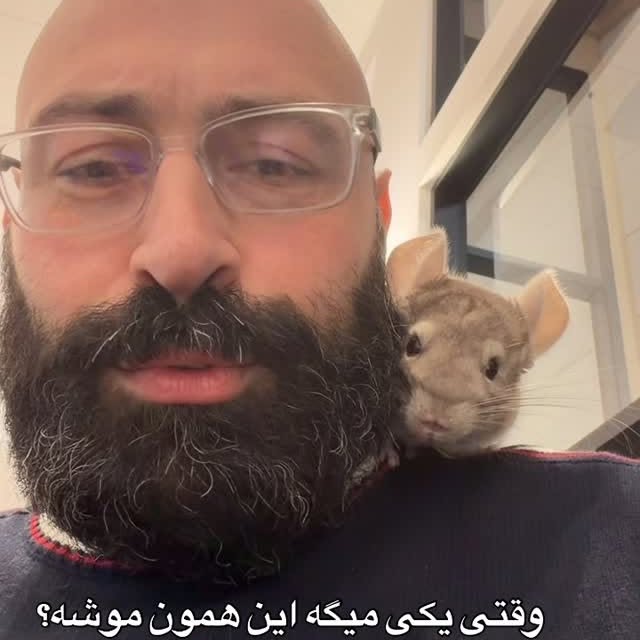  .........lavanzadeh   'recent posts' 