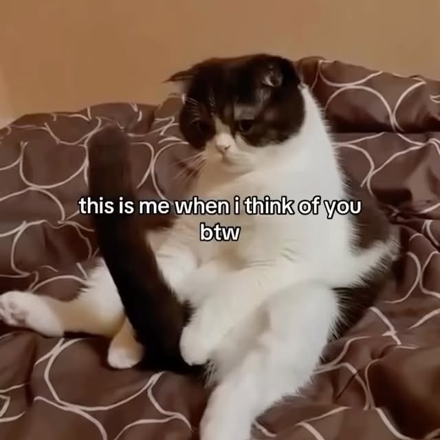  .....li9ht   'recent posts' 