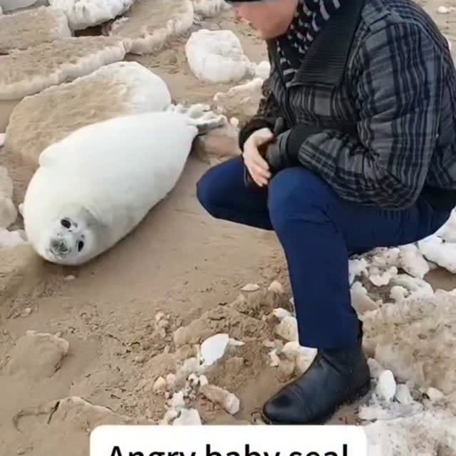  .....acthub   'recent posts' 