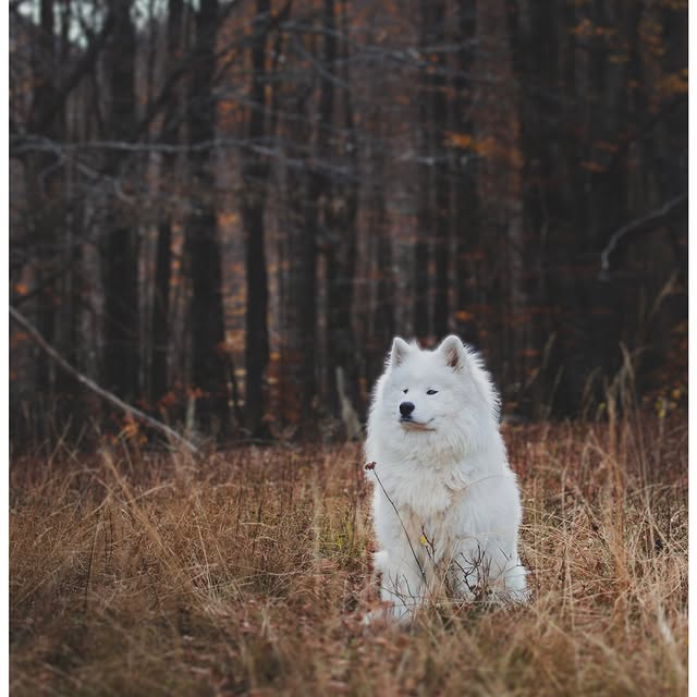  ........dventures   'recent posts' 