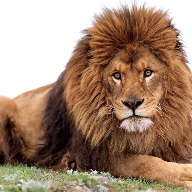  ......fehood   'recent posts' 