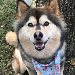 Hire .....ykoda influencer with 9.1k