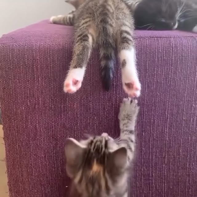  ......atclub   'recent posts' 