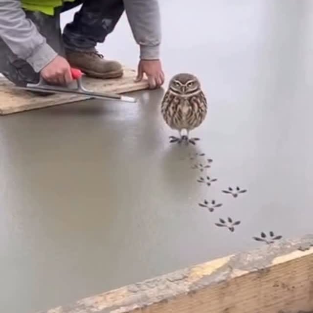  ...urre   'recent posts' 