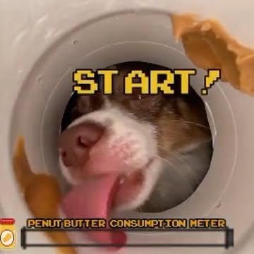  ........ingameme   'recent posts' 