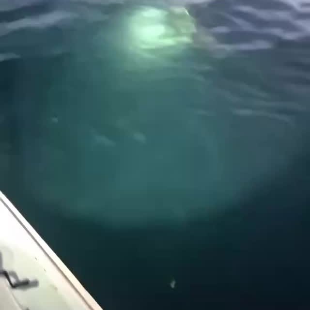  .........arkattacks   'recent posts' 