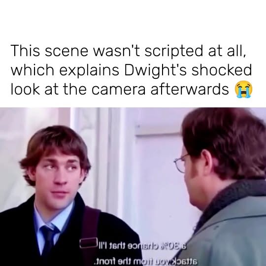  ......humour   'recent posts' 