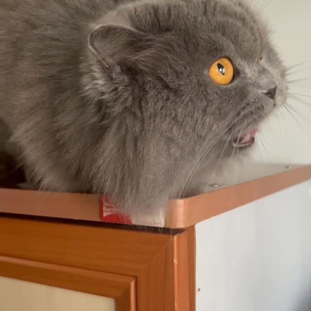  ......kekkek   'recent posts' 