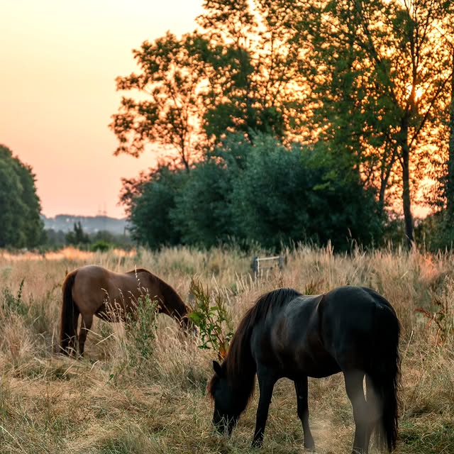  ........phpartsch   'recent posts' 