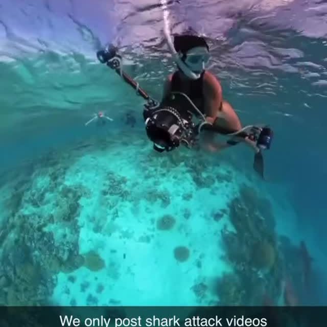  .........arkattacks   'recent posts' 