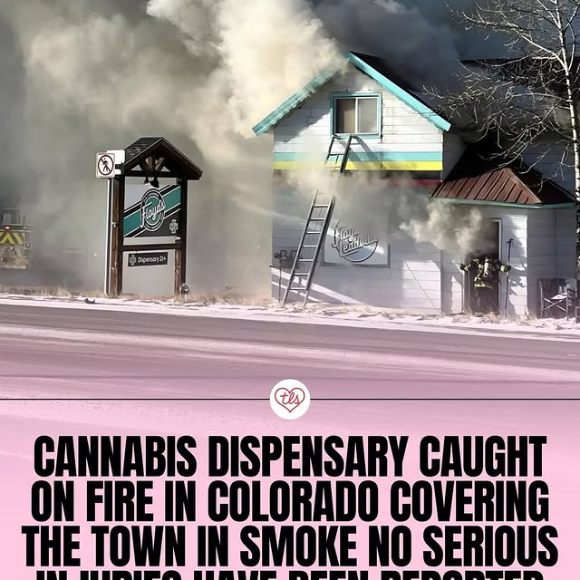  .....vid.s   'recent posts' 