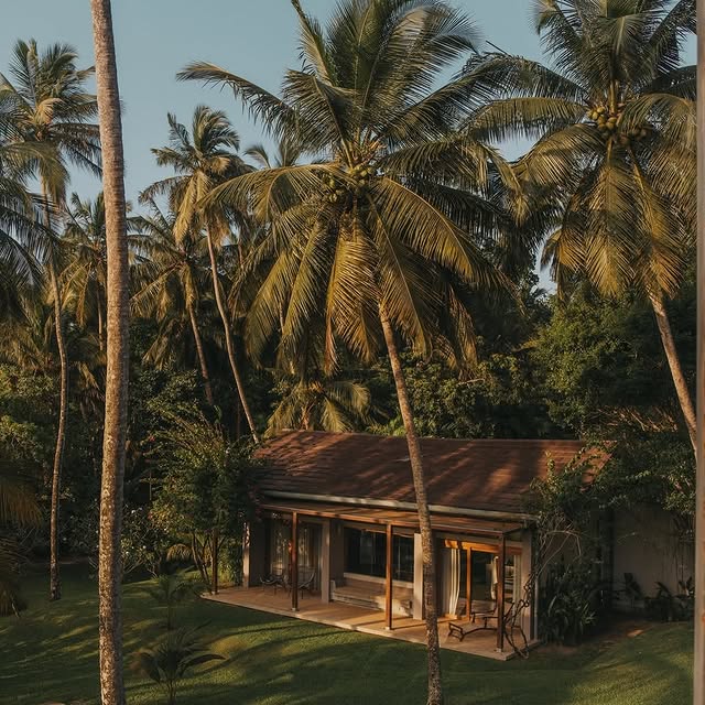  ......ecture   'recent posts' 