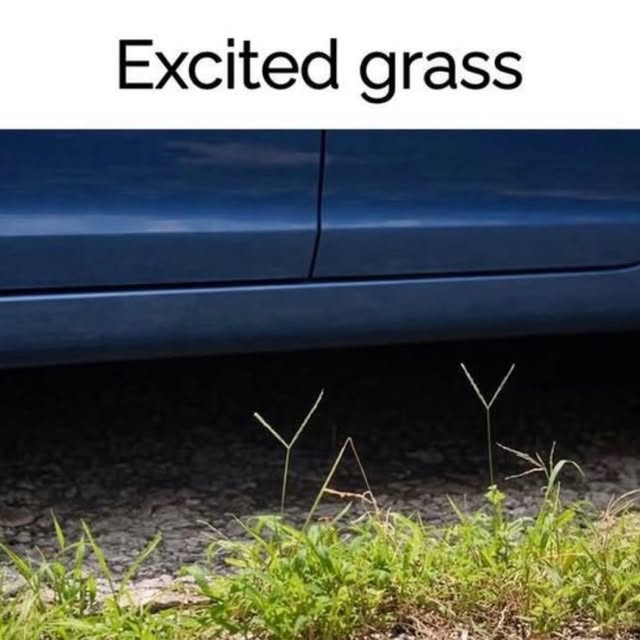  ....world   'recent posts' 