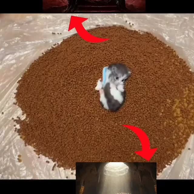  ......lyfans   'recent posts' 