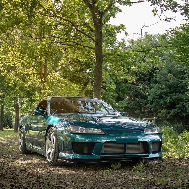  ......ineshow   'recent posts' 