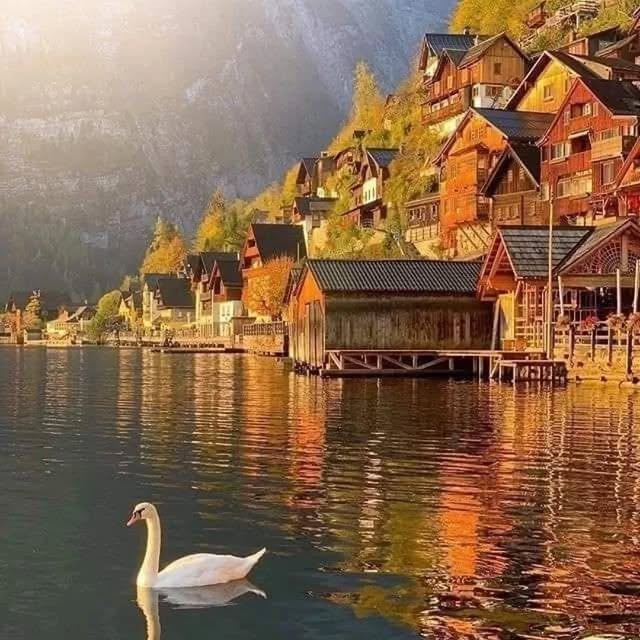  .........tiesdaily   'recent posts' 