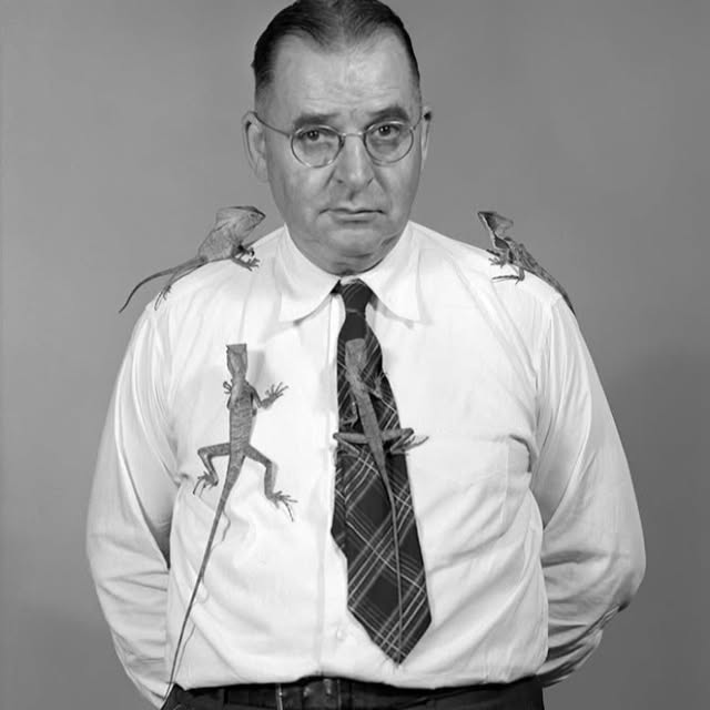  ....eird   'recent posts' 