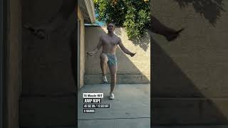  ....... Schmidt  'recent videos' 