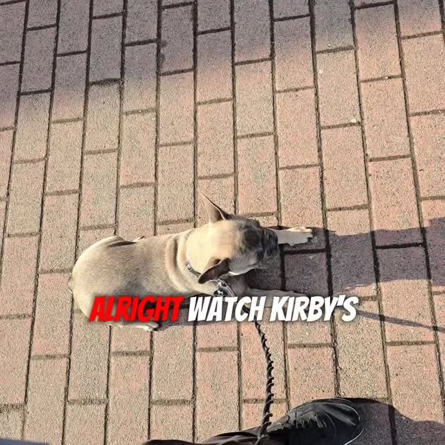  ..........ldogs_only   'recent posts' 