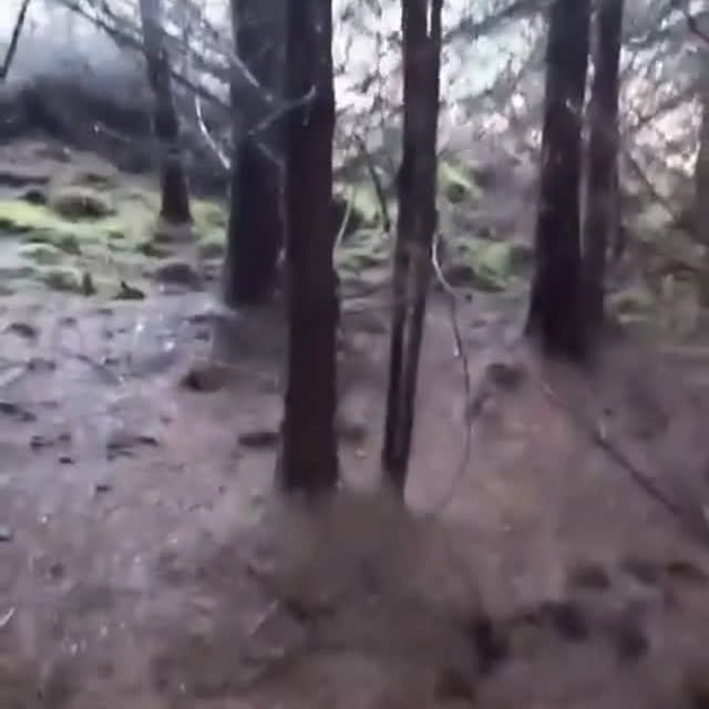  .....mystic   'recent posts' 