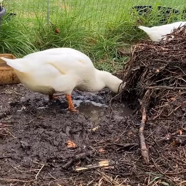  ........ckstatue   'recent posts' 